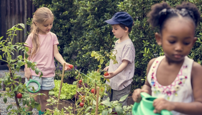 Children are in the garden watering the plants.