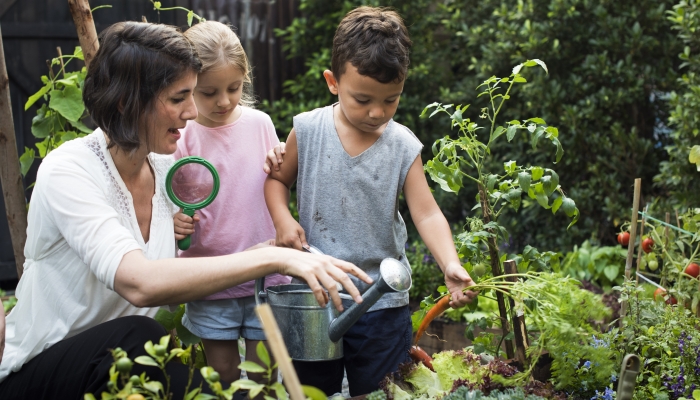 Children are watering the plants.