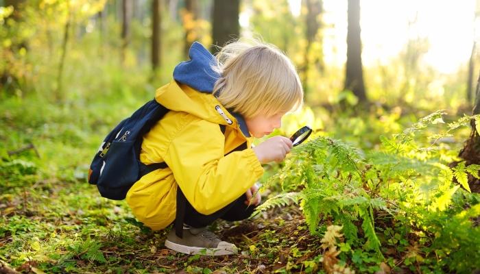 Preschooler boy is exploring nature with magnifying glass.