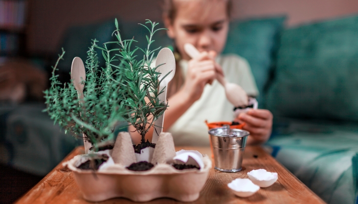 Pretty schoolgirl growing kitchen herbs in the eggshell.