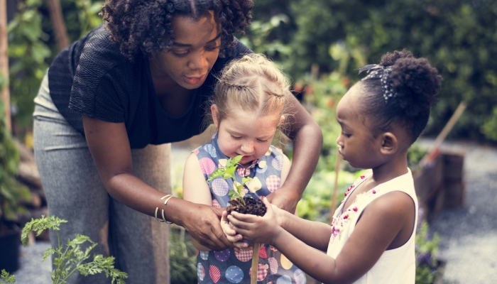 Teacher and kids school learning ecology gardening.