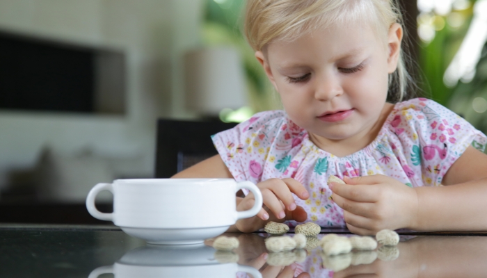 Toddler girl eating peanuts in shell on the kitchen table.