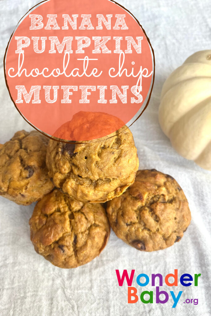 Banana Pumpkin Chocolate Chip Muffins