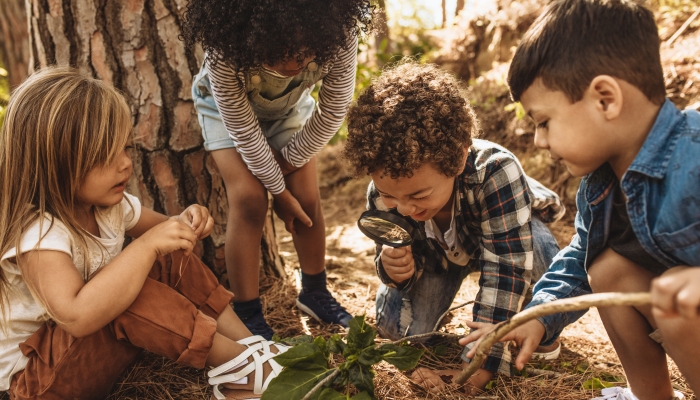 Children in forest looking at leaves as a researcher together with the magnifying glass.