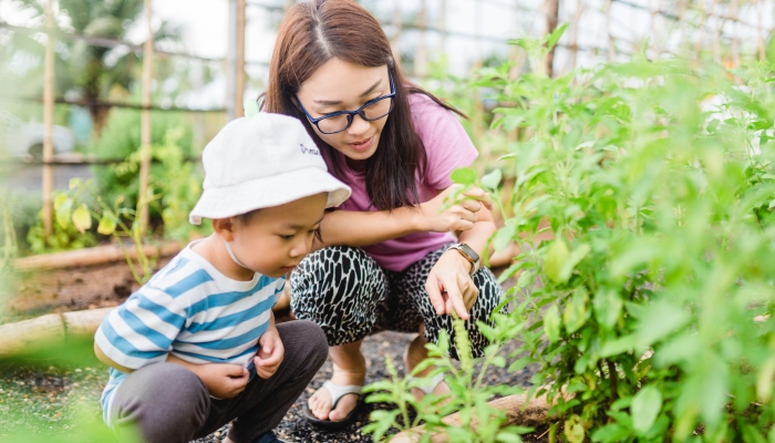 Mother and son toddler boy on organic vegetable farm in summer.