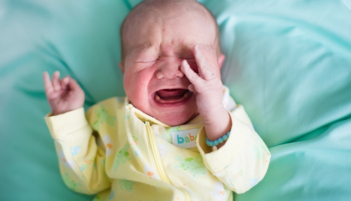 Newborn baby boy in bed.