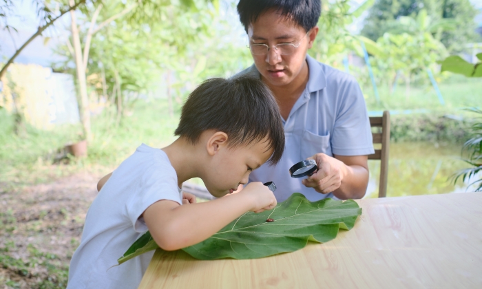 Parent sitting homeschooling with little kid,.