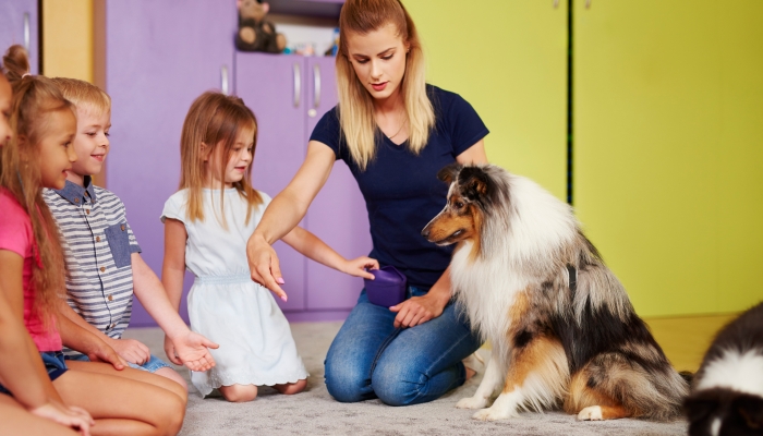 Service dog working with children in the preschool.