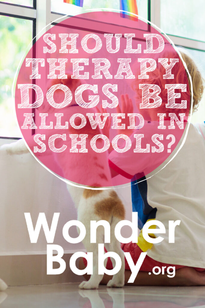 Should Therapy Dogs Be Allowed in Schools?
