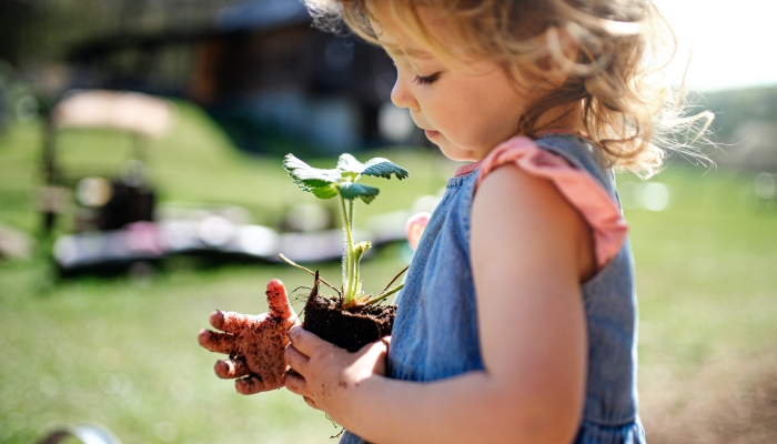 Small girl with dirty hands outdoors in garden, sustainable lifestyle concept.