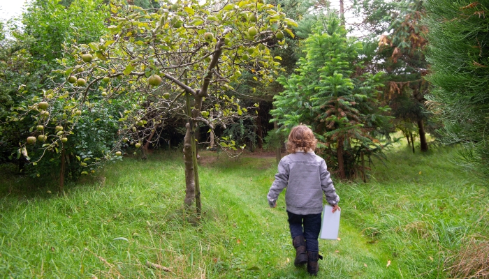 Young child on scavenger hunt in nature.