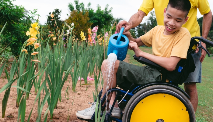 Asian special child on wheelchair and father watering the plants in flower garden,.