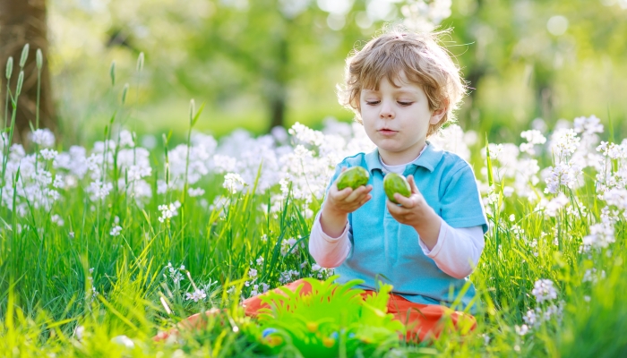 Beautiful little preschool boy having fun with traditional Easter egg hunt on warm sunny day.