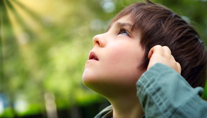 Caucasian little boy looking up at the sky in the forest with curious or careful expression.