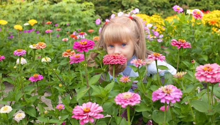 Happy little girl smelling the flower on the flower lawn.