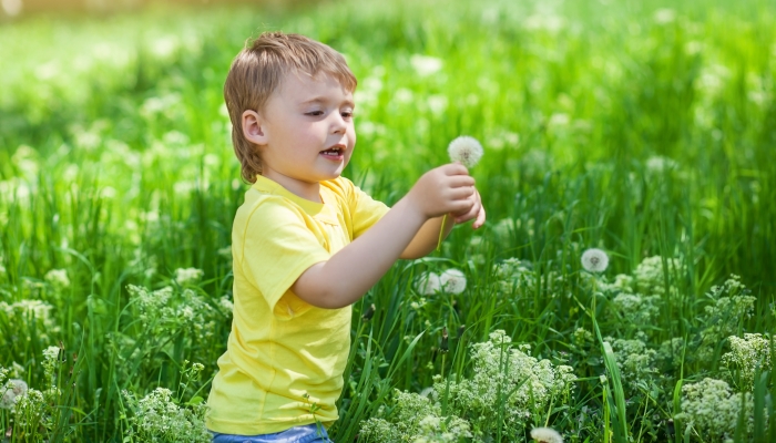 Outdoor activity like play, touch and sensory learning method for baby and kids.