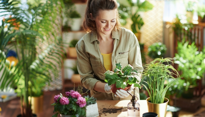 Relaxing home gardening.