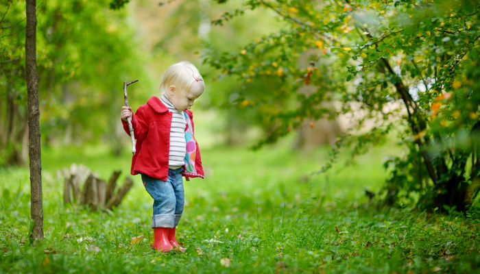 Adorable toddler girl hiking in the forest on autumn day.