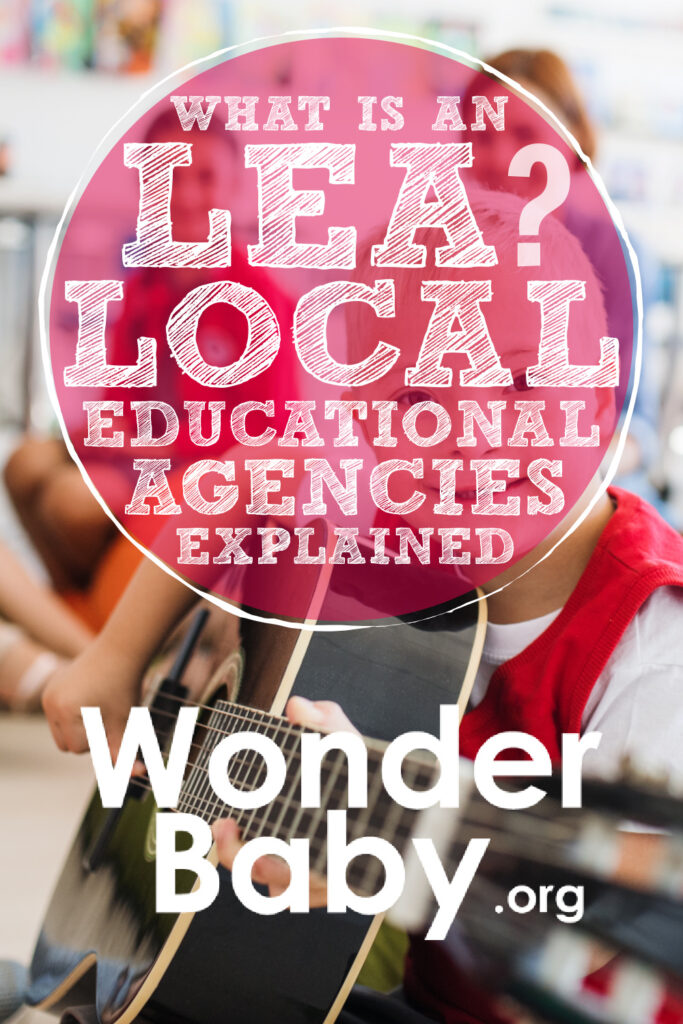 What Is an LEA? Local Educational Agencies Explained