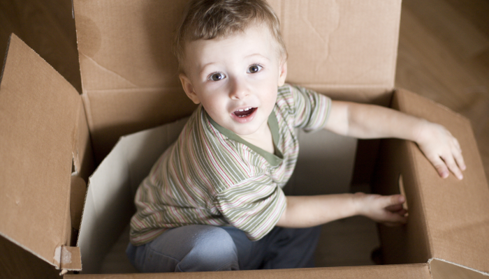 Portrait of cute little boy in carton box.