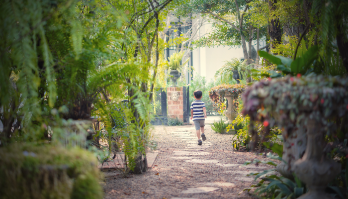Back shot photo of little kid running on narrow path inside green garden alone.