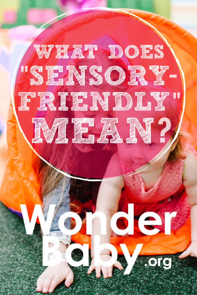What Does "Sensory-Friendly" Mean?