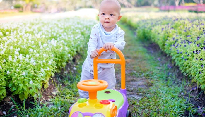 Cute Asian 11 months old toddler baby boy with learning walker car toy in the beautiful flowers garden outdoor.