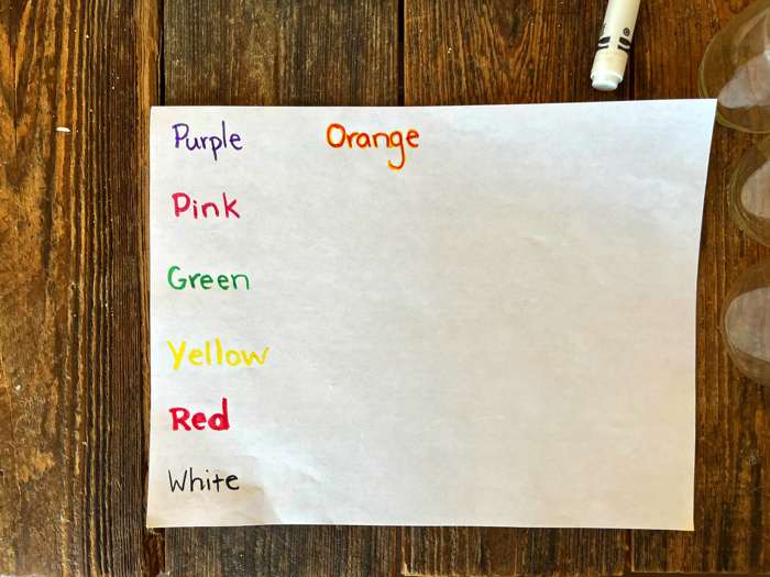 Jelly Bean Sensory Bin and Color Sorting writing the colors on paper.