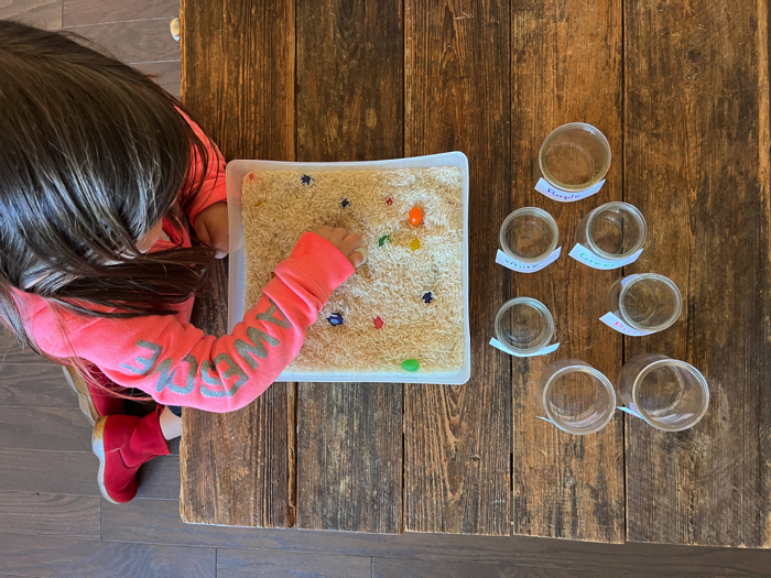 Jelly Bean Sensory Bin and Color Sorting playing.