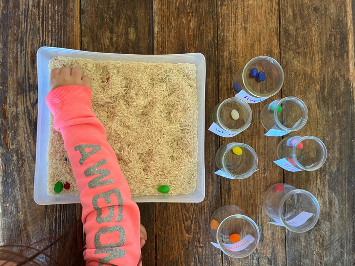 Jelly Bean Sensory Bin and Color Sorting playing.